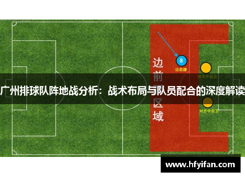 广州排球队阵地战分析：战术布局与队员配合的深度解读
