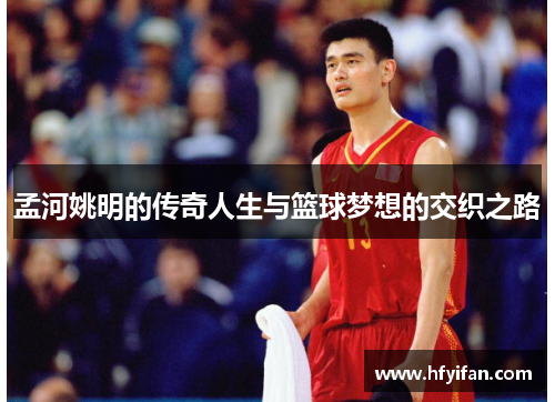 孟河姚明的传奇人生与篮球梦想的交织之路